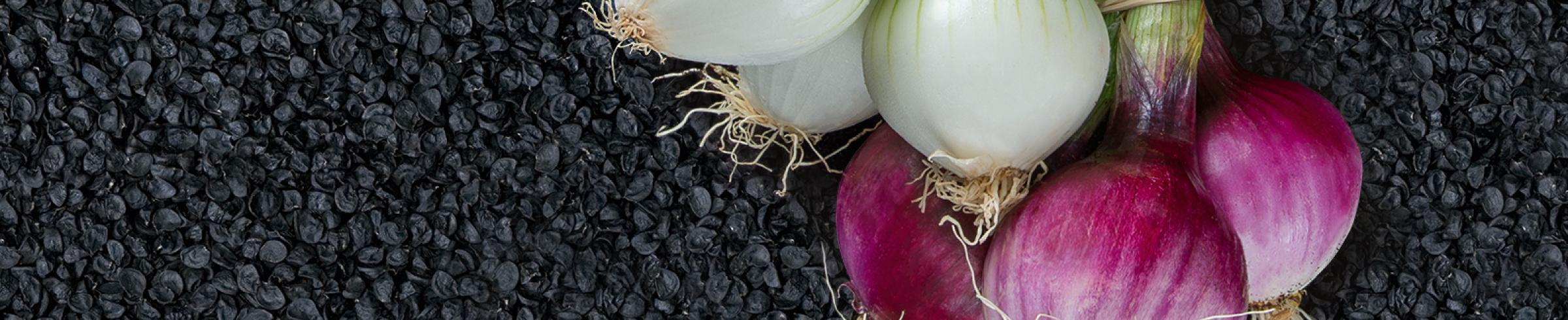 Delicioni op de Fruit Logistica