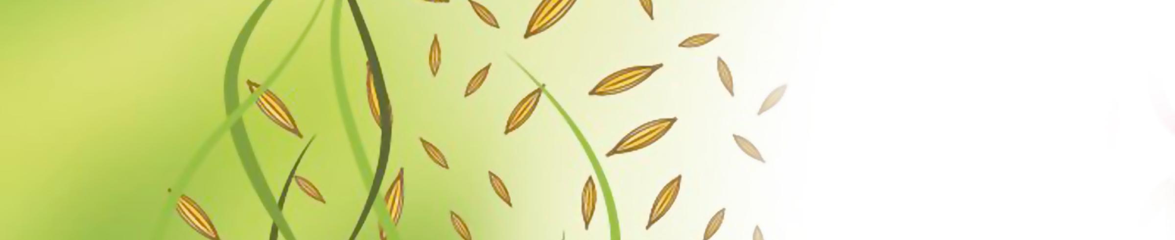 Mooc Semences header