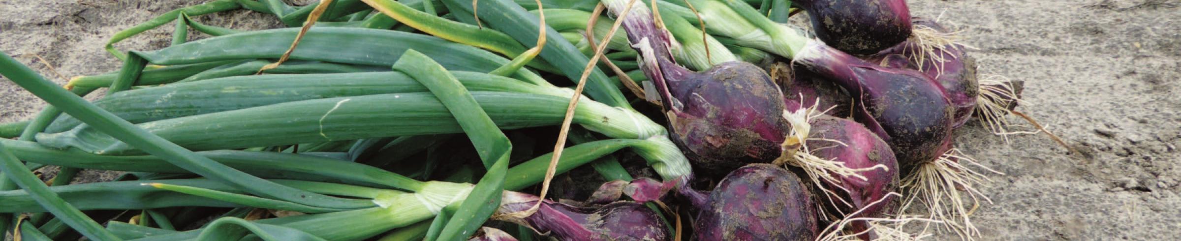 transition_agro-ecologique