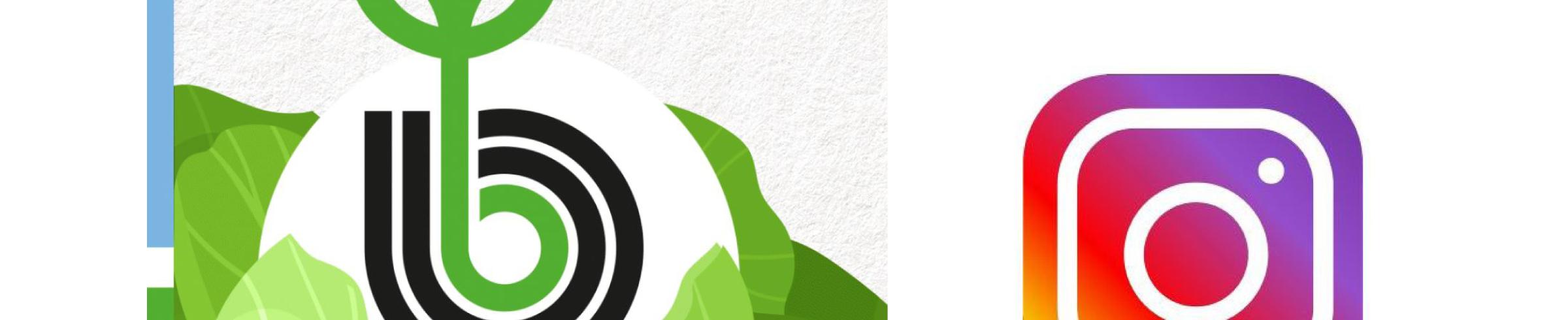 Banner Bejo Insta.jpg