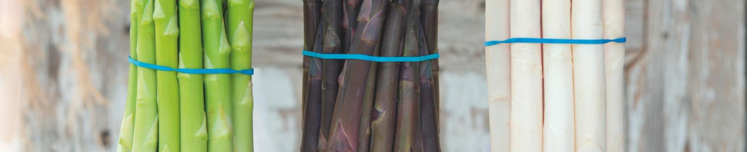 Bottes d’asperges blanches, vertes et violettes alignées sur une table, montrant la diversité variétale et les segments de marché couverts par la gamme de semences d’asperges Bejo.