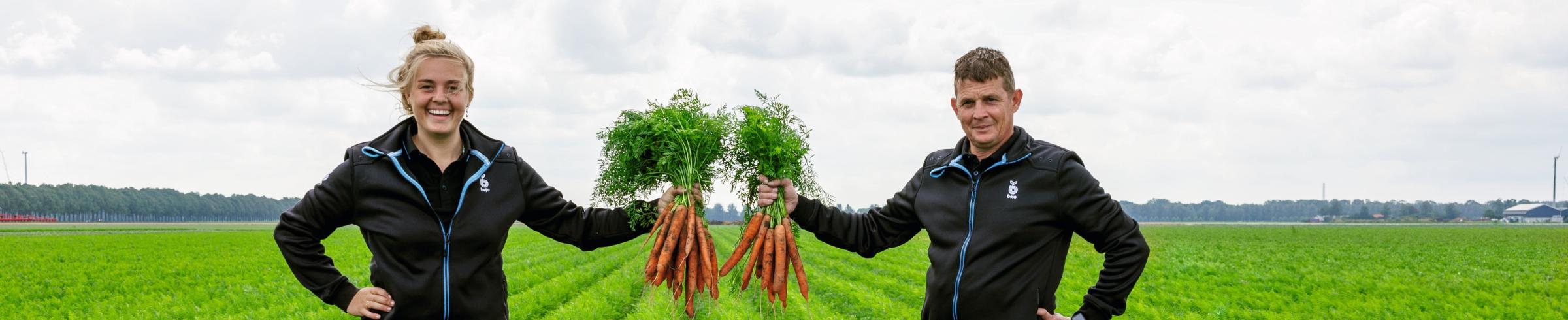 Variétés de gamme carottes BEJO expert en semence 