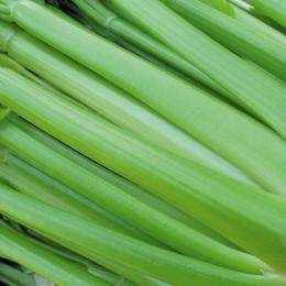 Blanched celery