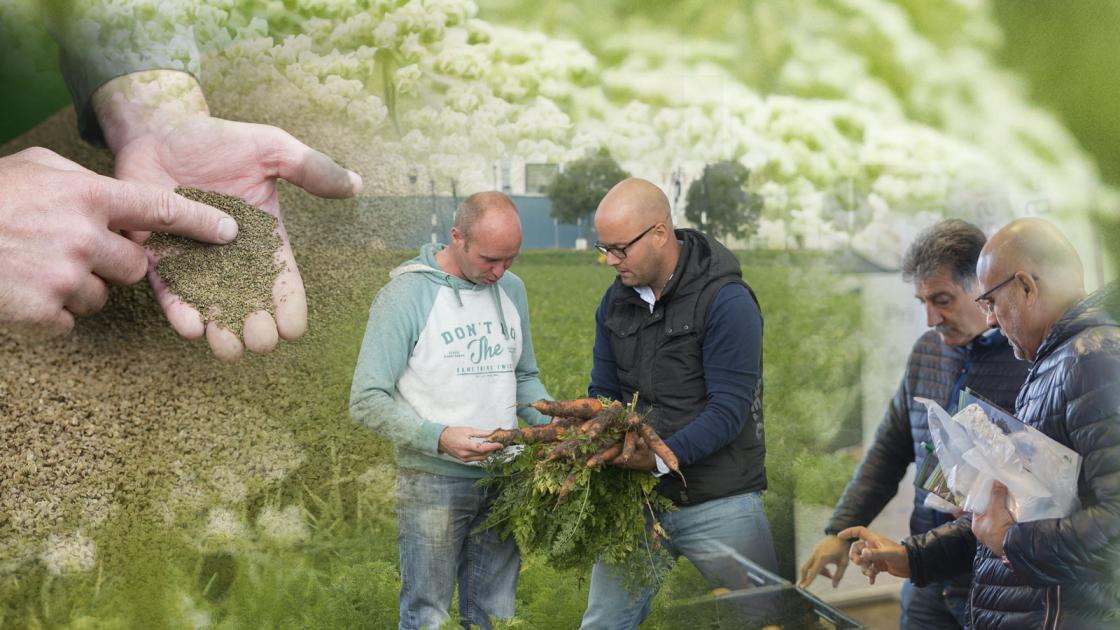Biologische impressie