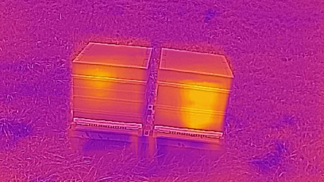 Caméra thermique ruche 1