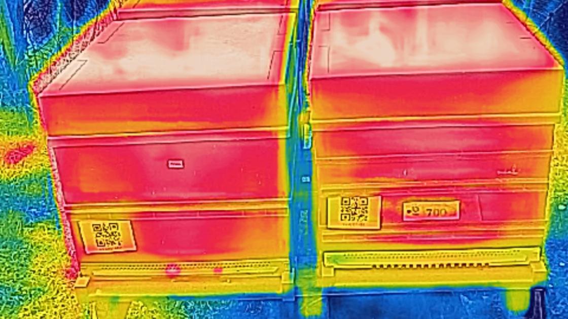 Caméra thermique ruche 2