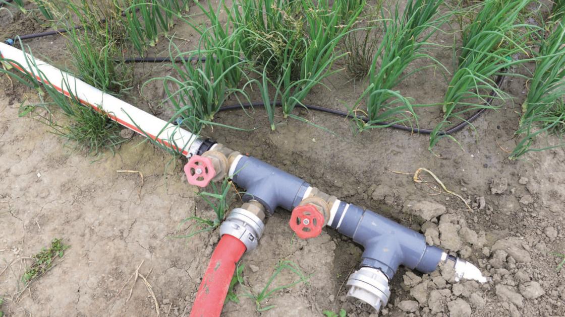 irrigation goutte-à-goutte et drainage par sondage
