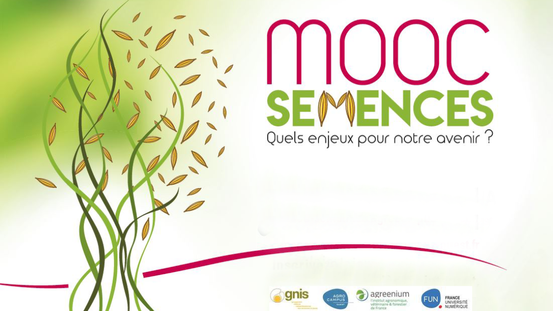 moocautomne.png