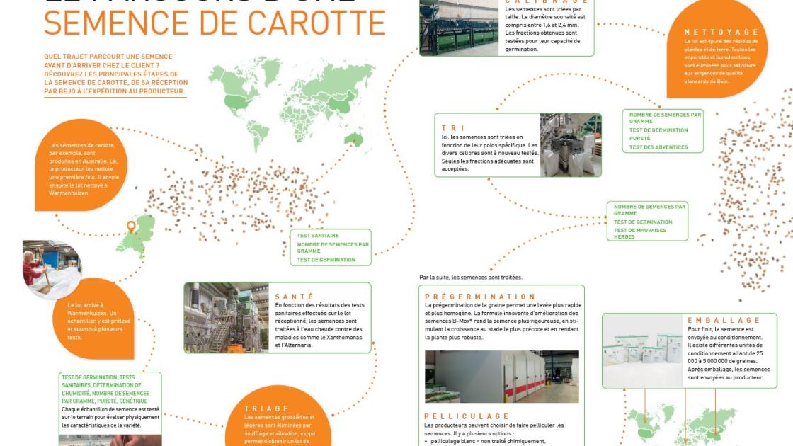 Parcours semence carotte
