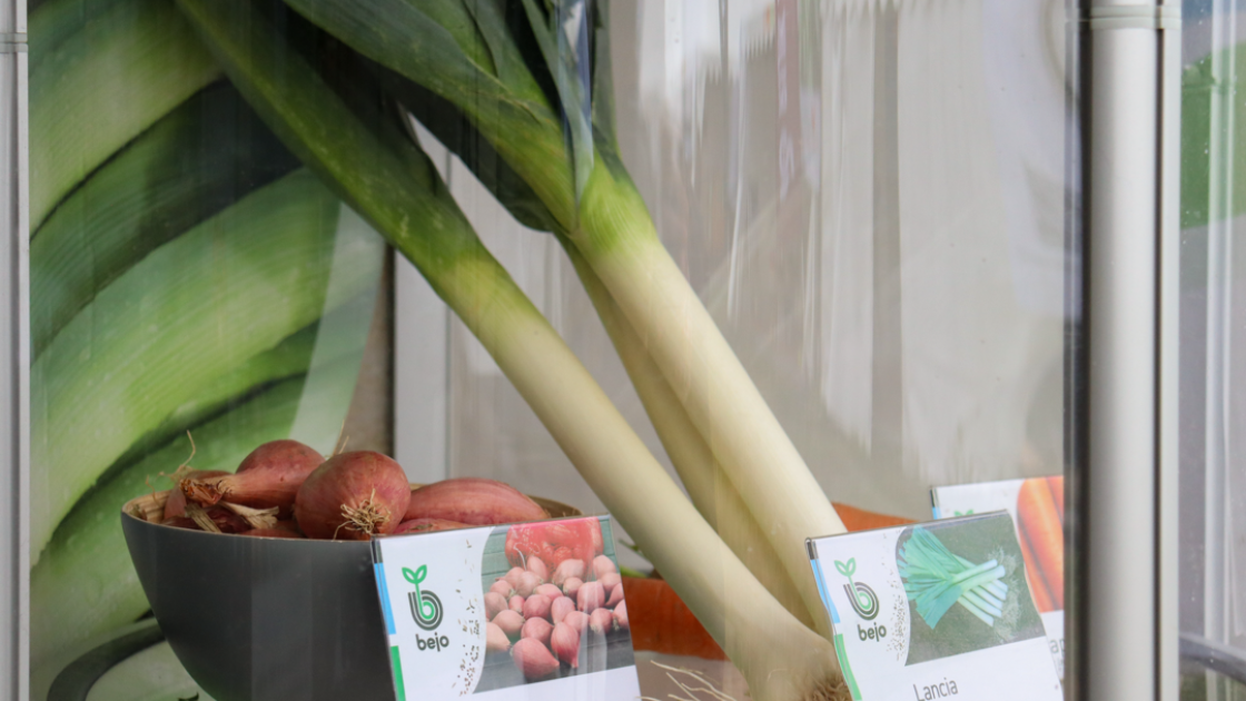 produit Tech&Bio Bejo 2025