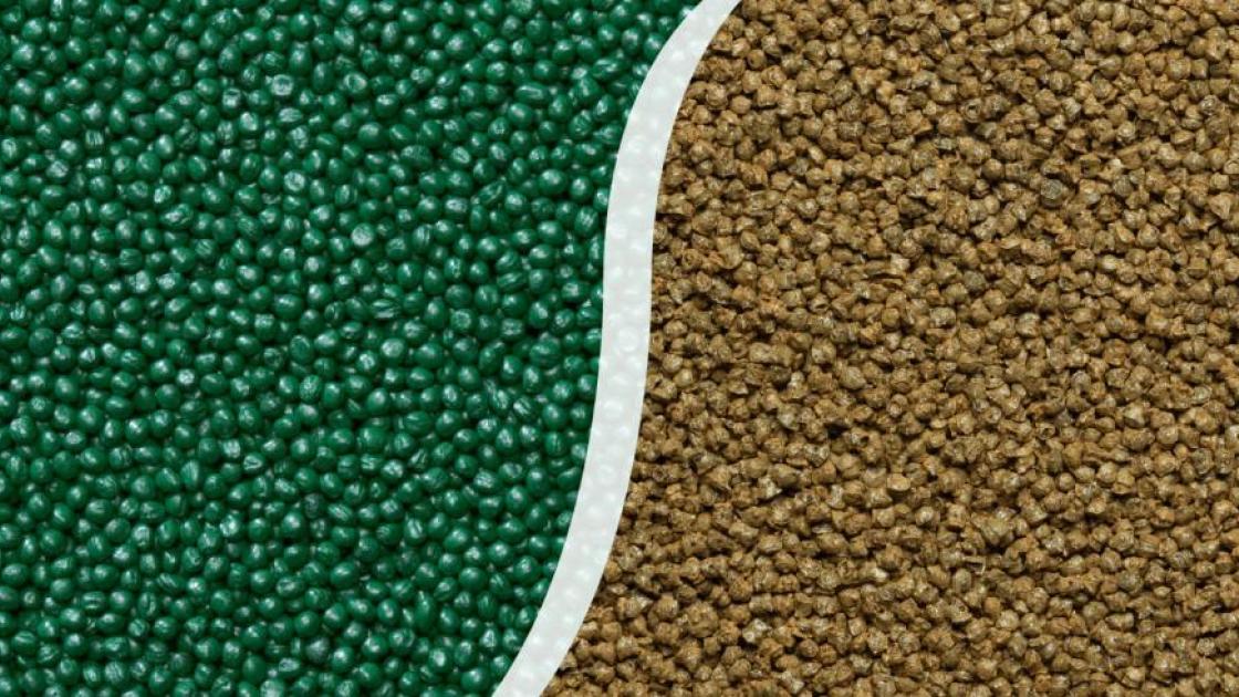 Pelliculage durable semence Bejo