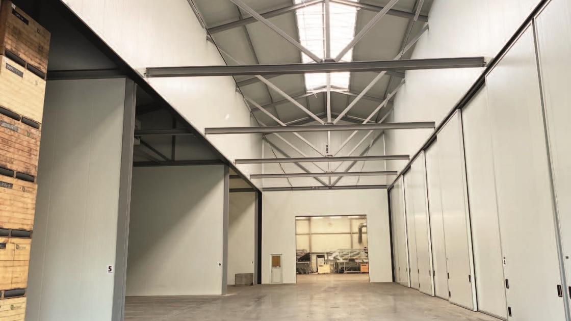 Stockage et transformation durable des bulbilles d'oignons 3