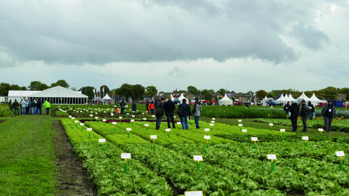 BEJOD 2023-1