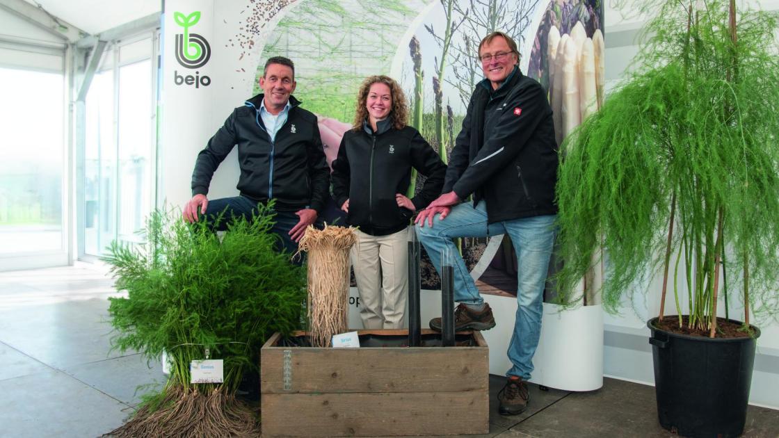John Gielen, Yvonne van der Vorst et Günter Hugenberg devant des plants d’asperges et du matériel végétal, représentant l’équipe en charge du programme de sélection des semences d’asperges Bejo.