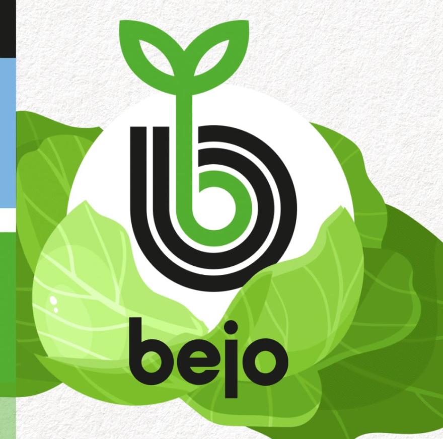 Bejo chou