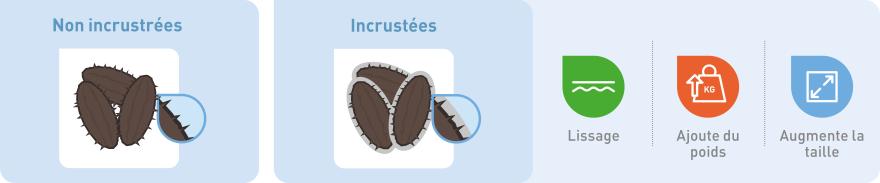 Image processus de l'incrustation des semences Bejo .jpg
