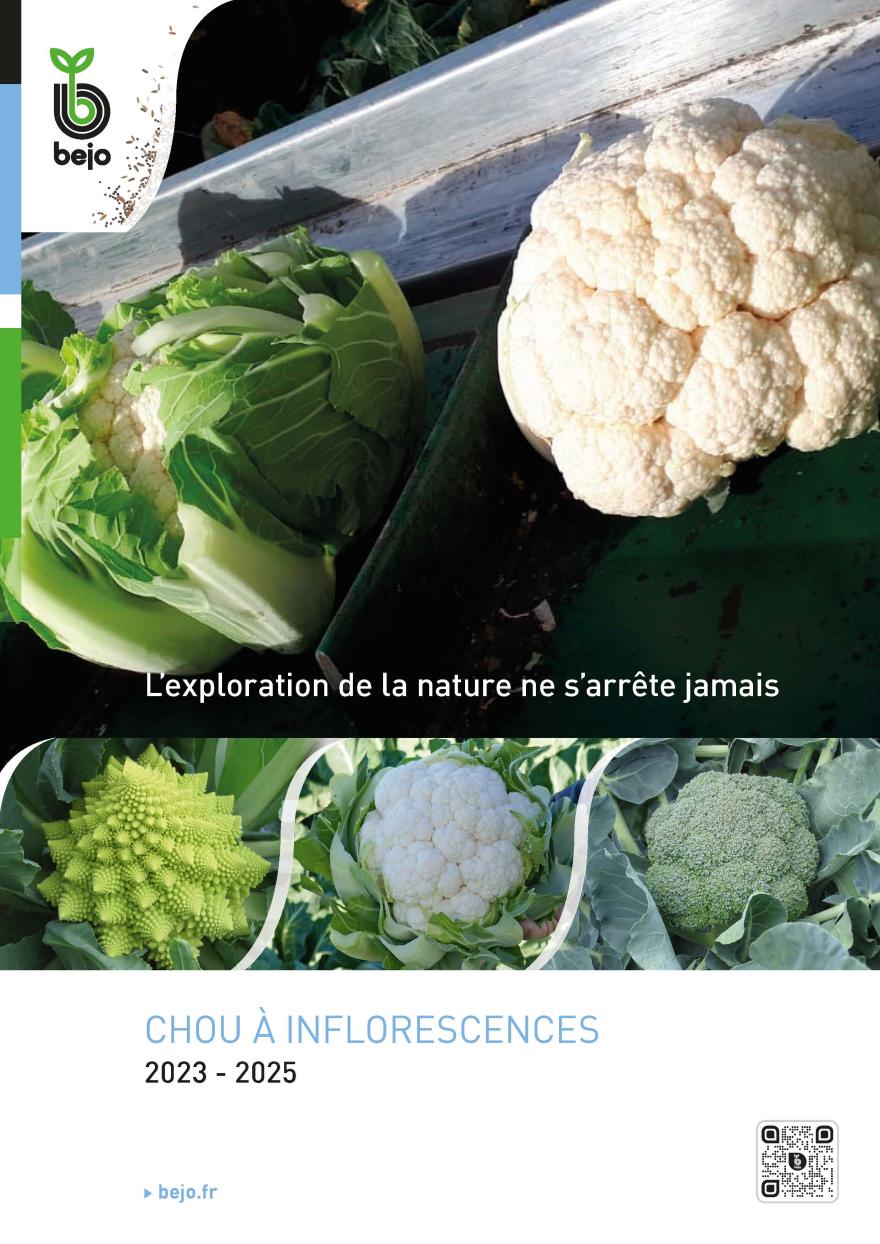 Page de garde chou à inflorescences