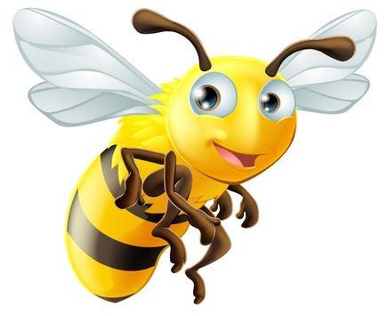 abeille.jpg