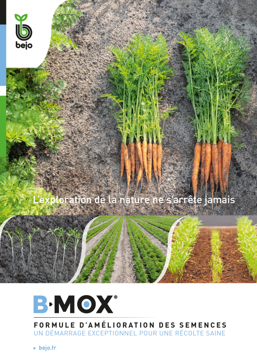 Brochure B-Mox