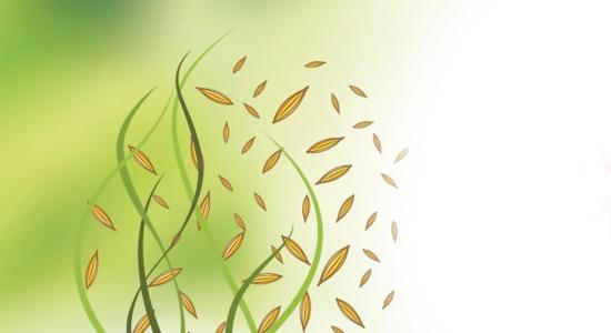 Mooc Semences header