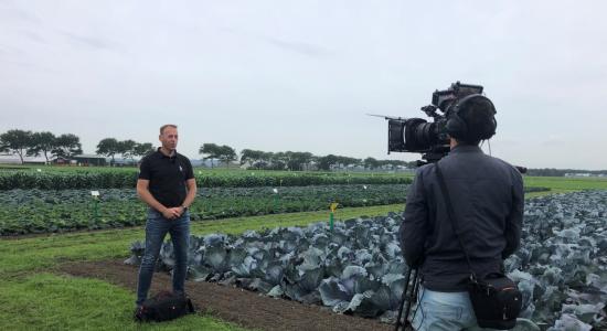 BEJO | Introduction Première Bejo Variétés 2020
