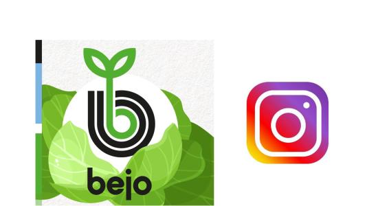 Banner Bejo Insta.jpg