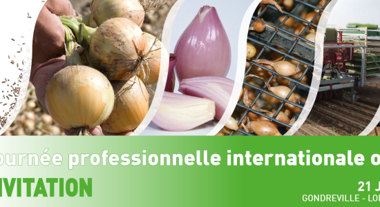 Journée pro internationale oignon