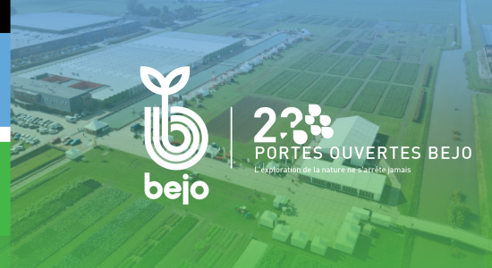 Bannière Bejo OD 2023