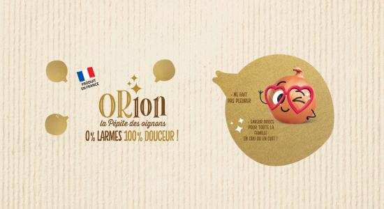 ORION WEB