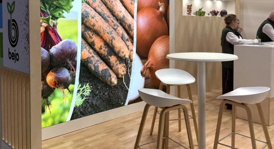 Stand SIVAL 2026   BEJO Expert Semences professionnelles 