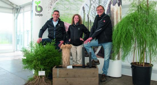John Gielen, Yvonne van der Vorst et Günter Hugenberg devant des plants d’asperges et du matériel végétal, représentant l’équipe en charge du programme de sélection des semences d’asperges Bejo.